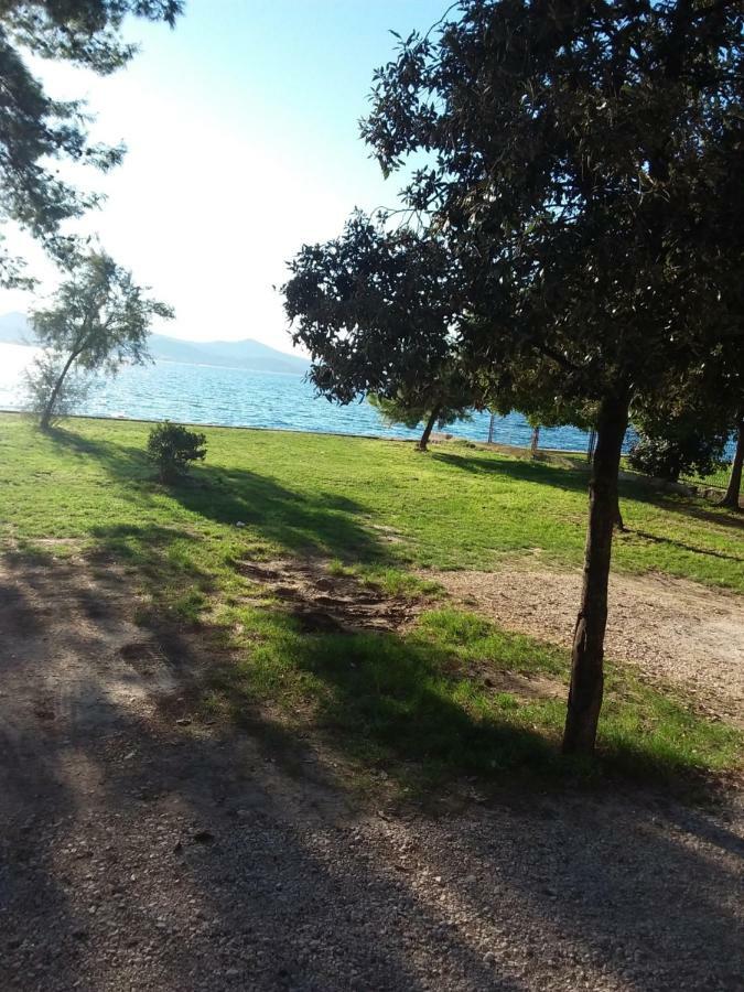 Jazine1 Leilighet Zadar Eksteriør bilde